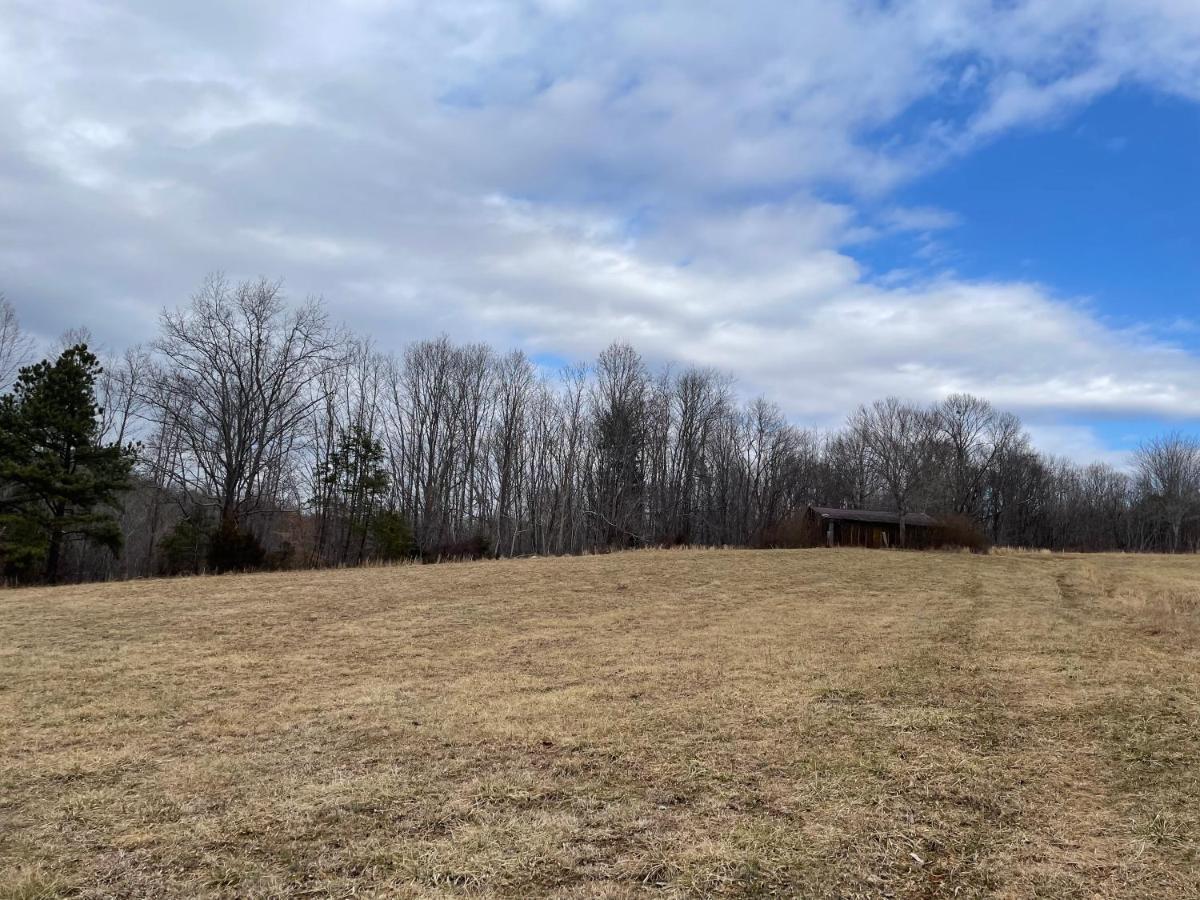 Giggling Creek Cottage - Bedjet! King Sized! Gazebo, 45 Acres, Arcades, Nintendo, More Henry Exterior foto