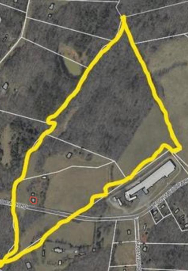 Giggling Creek Cottage - Bedjet! King Sized! Gazebo, 45 Acres, Arcades, Nintendo, More Henry Exterior foto